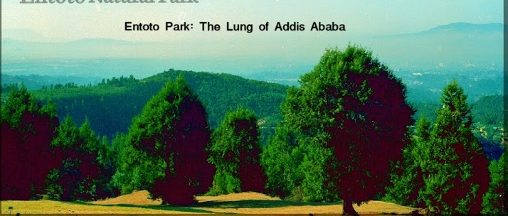 Entoto Park